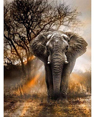 ZHXXFD 5D Diamond Painting 50X60CM Elefant Full Bilder Groß Runde Steine Crystal Strass Diamond Stickerei Set Kreuzstich Mosaik Für Kinder Anfänger Frameless