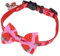 minkissy Haustierhalsband verstellbares Hundehalsband Wiederverwendbares Katzenhalsband tragbares Hundehalsband Katzenhalsband aus Nylon abnehmbar Kleiner Hund der Hund schmücken Zubehör