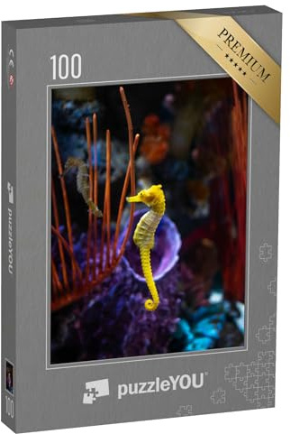 puzzleYOU: Puzzle 100 Teile „Seepferdchen im Aquarium“ – aus der Puzzle-Kollektion Seepferdchen
