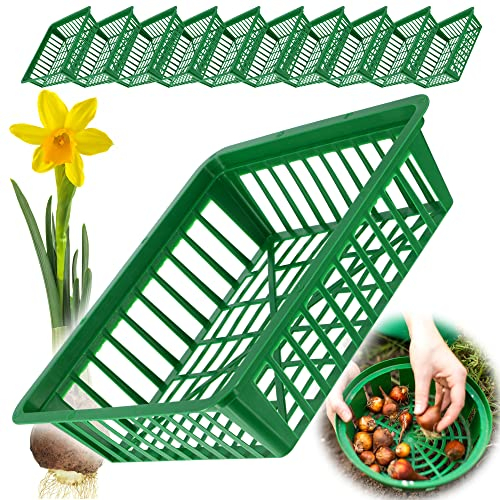 KADAX Plant Basket for Bulbs, Plastic Growing Basket, Propagation Tray for Vegetable Plants, Bulb Basket in 2 Shapes for Spring Flowers (28 x 26 cm, Set of 10), K8364