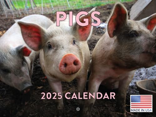Schwein Kalender 2024 Wand