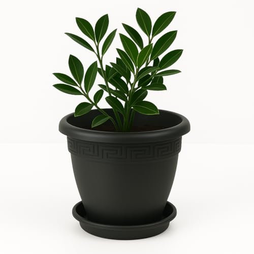 TECHZOCO Macetero con Plato, Maceta Redonda clásica de plástico con Plato, Tiesto para Plantas, Fabricado en Polipropileno, 17 cm Altura x 22 cm Diámetro Superior x 12 cm Diámetro Base, Antracita