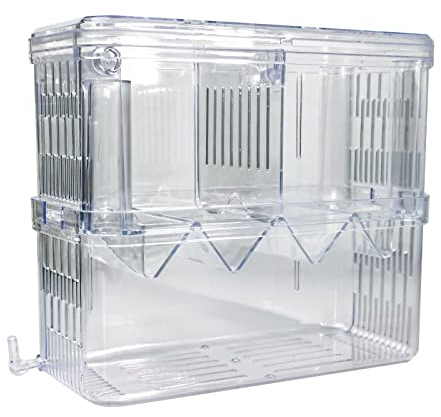 Gittcoll Acrylic Fish Breeding Box Double Layer Aquarium Tank Fishes Isolation Box with Suction Cup for Fry Hatchery Injured Care Divider Container for Small Ornamental Fishes Shrimp (Large)