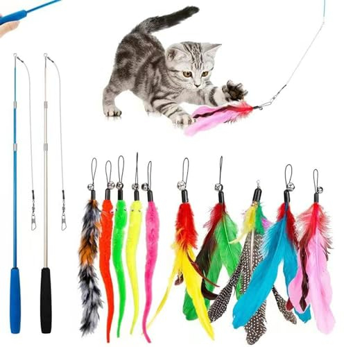 ZDQC 12 Stück Katzenspielzeug Angel,2 Skalierbar Stangen 10 Katzenangel Ersatzfedern,Interaktives Katzenspielzeug Spielzeug mit Federn