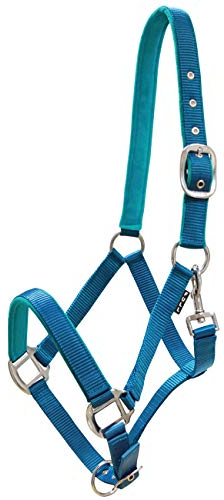 York Pferde Halfter Milo Nylonhalfter weiche Polsterung Stallhalfter Weidehalfter Reithalfter (Pony, blau)