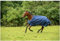 Bucas Regendecke Light Stay-Dry SMARTEX RAIN blau 155cm + Hufkratzer Reiterladen24.de