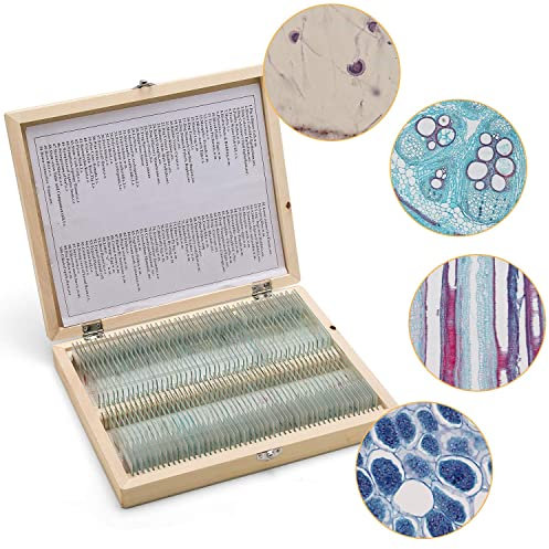 200 Stück Mikroskop-Objektträger in Box für die biologische Grundausbildung vorbereitet,Mikroskop-Objektträger für Kinder Kinder Studenten mit Tieren Insekten Pflanzen Probe Laborproben