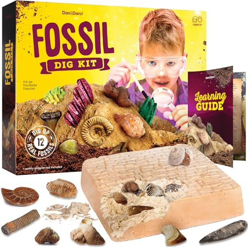 Real Fossil Dig Kit for Kids - Science Kits for Boys & Girls Age 8-12 Years