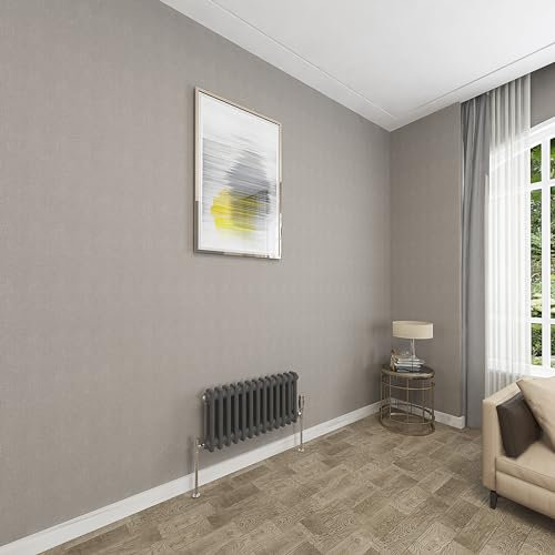 Sky bathroom 300x605mm 2 Column Radiator Horizontal Anthracite Cast Iron radiato Traditional Central Heating Radiator