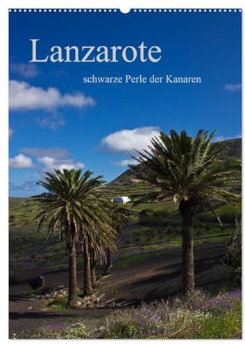 Lanzarote (Wandkalender 2026 DIN A2 hoch), CALVENDO Monatskalender: schwarze Perle der Kanaren (CALVENDO Orte)