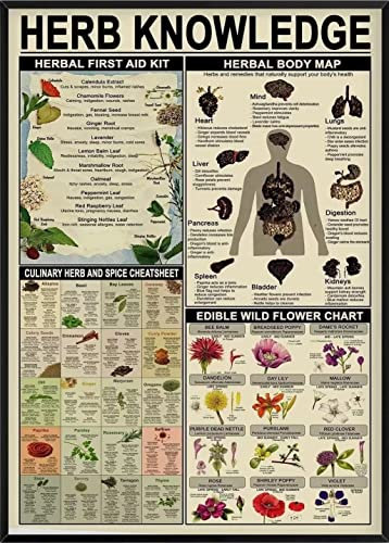 Herb Knowledge Metall-Blechschild Kräuter-Erste-Hilfe-Set und Körperkarte und essbare Wildblumen-Diagramm, Wandkunst, Poster, Schule, Büro, Bauernhof, Menschen, Höhle, lustige Plakette, Dekoration
