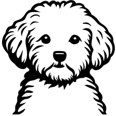 AMA SHOP Aufkleber für Malteser Hund, Farbe schwarz, geeignet für Auto- und Motorradhelm, Aufkleber