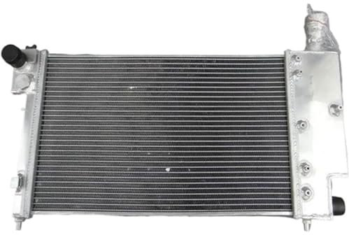 Aleación de aluminio para motor y radiador. Aluminio para radiador para piezas de motor Para Citroen Para Saxo-VTR 1996-2004 2 Filas
