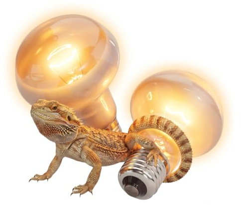 greate UVA Terrarium Lampe E27 50W - 2er Pack Reptilien Wärmelampe | Reptilien Lampe für Schildkröte, Bartagame, Schlange uvm - Wärmelampe Terrarium Beleuchtung 300 Lumen & 2560K warmweiß