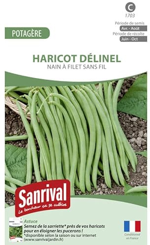 Graines Haricot Delinel