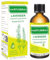 FORSYLVANEST Huile Essentielle de Lavande 100ML 100% Pure Naturelle Non Diluée pour Aromathérapie, Massage, SPA, Soins de la Peau, Cheveux et Ongles, Bains, DIY (Lavande)