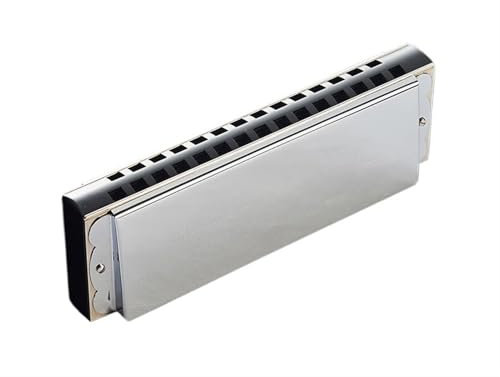 Mundharmonika Set Bass-Mundharmonika für Anfänger selbst erlernte Mundharmonika Silber C-Tonart Anfängerinstrument