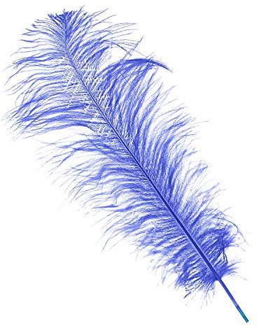 WedDecor Extra Large Purple Natural Ostrich Feathers 19-23 (50-60cm) Long for Wedding Centerpieces, Home, Decorating Costumes, Embellishment, Art & Craft, Parties (Pack of 10)