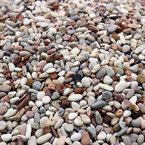 Premium Pebbles Steine für Pflanzen, dekorative Kieselsteine, Erdfarbe, 1,27 cm – 4,5 kg, für Garten, Vasenfüller, Basteln, Sukkulenten, Töpfe, Pflanzen (Mini (0,5 cm), gemischte Farben, Erdtöne, 10