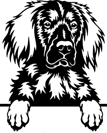 Autoaufkleber/Sticker/für Innen und Außen 28 cm schwarz Hund Münsterländer 01
