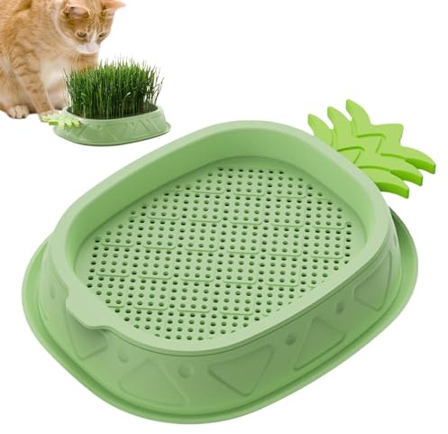 Box für Katzengras, bodenlose Kultur, Kultur-Set – Ananas-Design