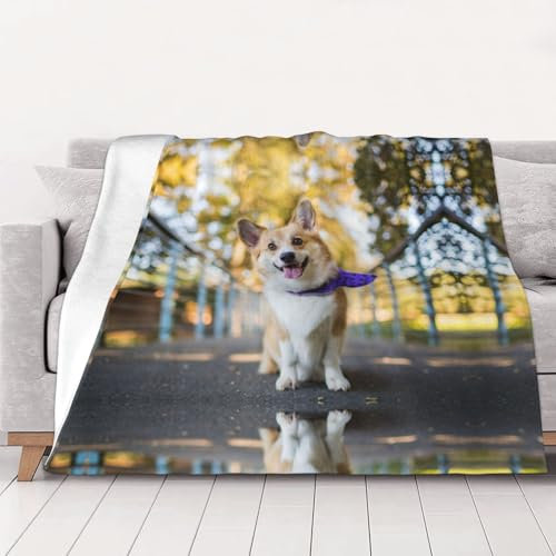 CHANGLEI Gewichtsdecke für Hunde, Flanelldecke, personalisierter Druck, weich, warm, gemütlich, vielseitige Decke für Bett, Sofa