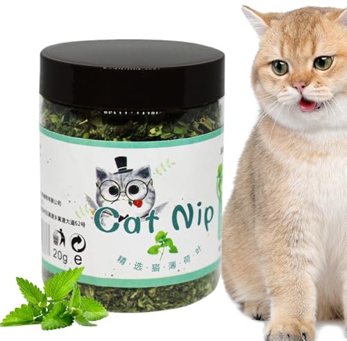 Fresh Catnip Cats, Catnip Plant Indoor Kitten Entertainment, 2.56x3.35 inches Adorable Natural Calming Herb Interactive Attractant for Plaything, Treat, and Sensory Enjoyment