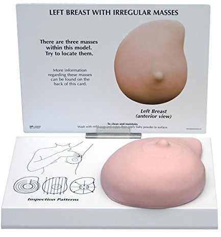 GPI Anatomicals W33385 Brust Modell links mit Erkrankung