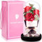 La Bella e La Bestia Rose Incantate,Rosa Eterna,Elegante Cupola di Vetro con Base Pino Luci LED,Beauty And Beast Regali Magici Valentino Festa della Mamma Compleanno Anniversario di Matrimonio