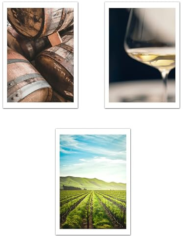 Nacnic Set de 3 Cuadros de Viñedo Italiano Impresión Ilustración Arte de Pared Decoración en Estilo Fotográfico Moderno para Cocina, Bodega, Bar, Despensa, Comedor, Restaurante A4 Sin Marco