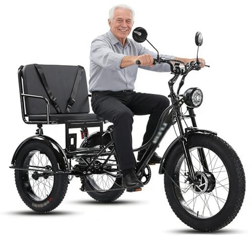 Wasd3Pods Fat-Tire-Dreirad Für Erwachsene Mit Korb – 20-Zoll-Elektro-Dreirad Mit Carbonstahlrahmen – 3-Rädriges Freizeitrad – Elektrisches Lastendreirad Für Senioren Black-withseat