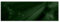 H6803M_TV5BW Papier peint intissé Vert bouteille 312 x 104 cm