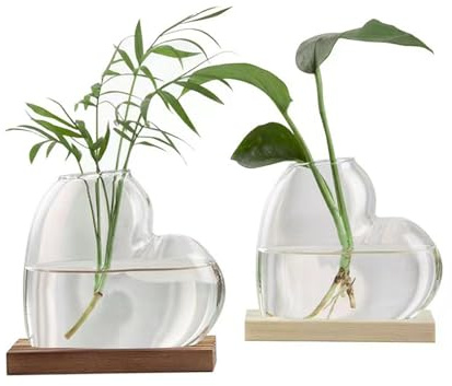 Fabater Stations de Propagation des Plantes avec Support en Bois, 2 Terrariums en Verre en Forme de Cœur, Vases à Fleurs de Bureau pour Culture Hydroponique, Décoration de Bureau, de (Brun Clair)