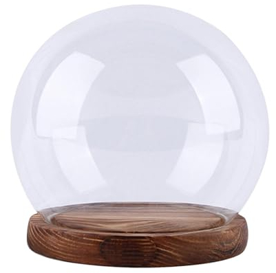 MagiDeal Cloche dôme en Verre, Cloche en Verre, dôme Globe, Terrarium Rond, Artisanat de Mariage, Micro Paysage, Cloche en Verre, 15CM