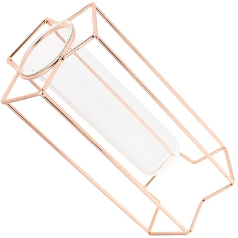 Cabilock Kreative Titel Für Produkt Rustikale Glasvase Mit Eisenständer Hydroponische Blumenvase Für Trockenblumen Und Frische Arrangements Für Tischdeko Und Wohnräume Dekorative