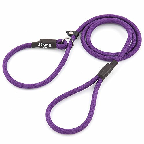 Bunty Rope Slip Lead for Dogs, Medium | Anti Pull Dog Lead, One-Size-Fits-All, Durable Woven Nylon, Ideal for All Dogs - No Pull Training Aid, No Collar Needed - 120cm, Purple