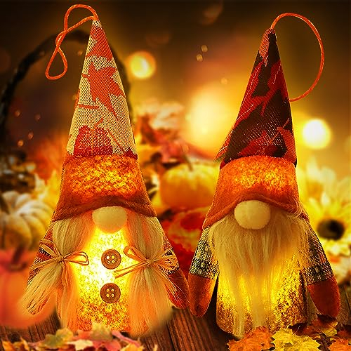 Herbst Deko Wichtel mit Licht, Herbst Dekoration Wichtel Plüsch, Herbstdeko Wichtel Figuren, Herbsternte Beleuchtete Wichtel, Gesichtslose Puppe Plüsch für Haus, Garten Tisch Dekoration (2 Stück)