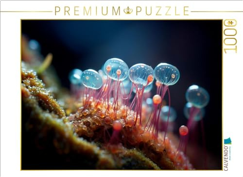 CALVENDO Puzzle Gläserne Pilze - Mikroorganismen | 1000 Teile Lege-Größe 64 x 48 cm Foto-Puzzle für glückliche Stunden