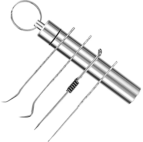 Polly Online 1 Ensemble de Cure-Dents en Titane avec Porte-Cure-Dents Ensemble de Cure-Dents réutilisables pour Pique-Nique en Plein air et Cure-Dents de Camping