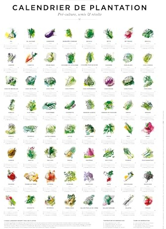 531 Rheinland Design Pflanz- und Aussaatkalender für den Garten in französischer Sprache im Format 30 x 40 cm, Aussaatzeiten für 64 verschiedene Gemüse als Poster