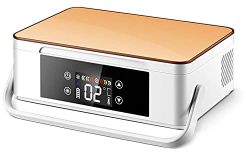 Boîte de réfrigérateur à insuline - Réfrigérateur de voiture portable, refroidisseur d'insuline, réfrigérateur de médecine, réfrigérateur de voyage de voiture pour l'interféron, l'hormone de croi