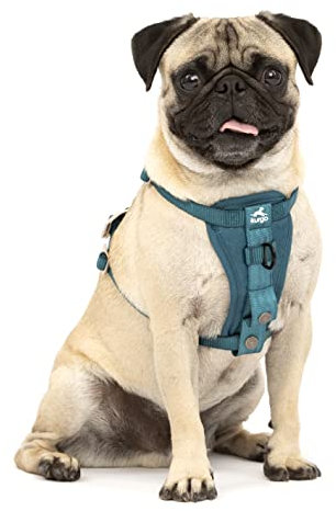 Kurgo TRU-Fit Hundegeschirr, Crash-Test-erprobtes Auto-Sicherheitsgurt, Für Hunde von 2 bis 5 kg, Größe XS, Tinte Blau