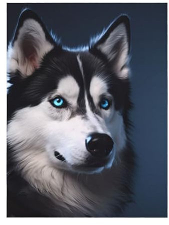 YYHWHJDE Superweiche Decke mit Husky-Hundemuster, 203,2 x 152,4 cm, leicht, warm, langlebig, geeignet für Bett, Sofa