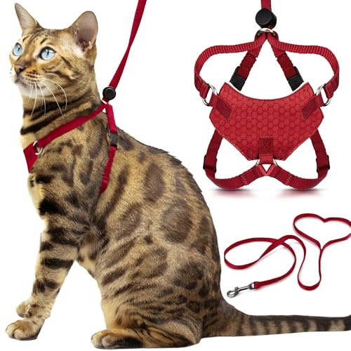 Houdini™ Set aus Katzengeschirr und Leine von OutdoorBengal, ausbruchsicheres, mittelgroßes Katzengeschirr für Spaziergänge, Rot
