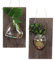 2 Maceteros de Pared de Madera Montados en la Pared, Estación de Propagación para Colgar en la Pared, Macetero de Cristal, Florero, Terrario con Soporte (jarrón de ratón + jarrón