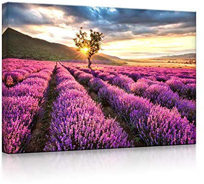 lightbox multicolor | LED Leuchtbild | Provence mit einsamen Baum | 100x70 cm | Fully Lighted