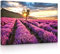 lightbox multicolor | LED Leuchtbild | Provence mit einsamen Baum | 100x70 cm | Fully Lighted