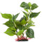 BHGT 33cm Plante d'aquarium Artificielle Plastique de d'aspect réaliste Ornement pour Aquarium Feuilles Vertes