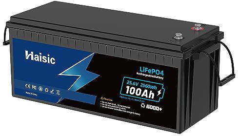 Batteria LiFePO4 24V 100Ah Litio, Batteria Accumulo 24V, BMS Sicurezza Proteggere, 4000-15000 + Cicli Profondi e 10 anni di durata, Perfetta per Camper, Trailer, Solare fotovoltaico ecc.-2560Wh