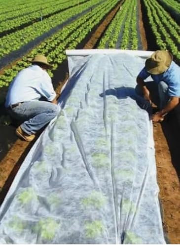 F & R Gartenvlies zur Abdeckung von Gemüsebeeten 21 g/m² I Gartenvlies wasserdurchlässig I Pflanzenvlies I Frostschutz Pflanzen Winter I Vlies Frostschutz I Pflanzenschutzfolie I 1,6 m x 20 m